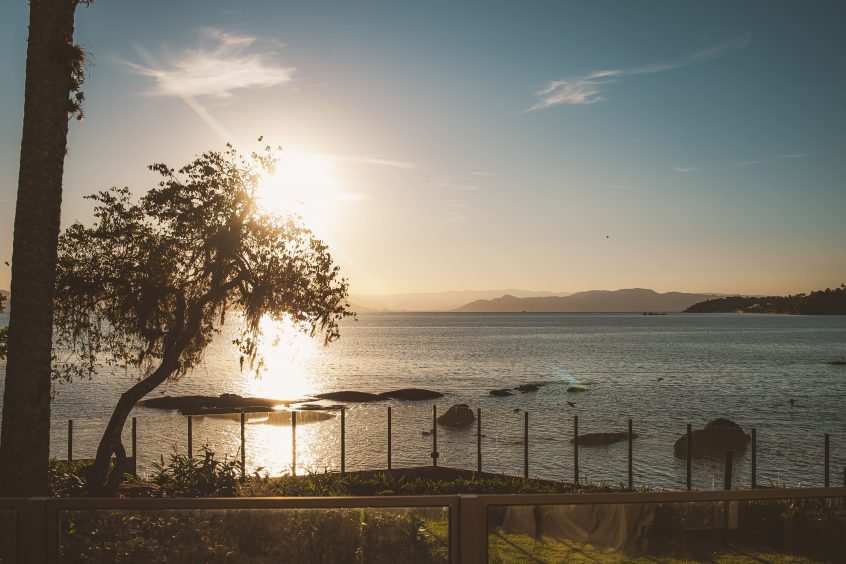 Pôr do sol no D/Season com uma árvore no primeiro plano.