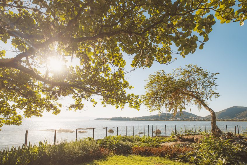 imagem mostra uma paisagem belíssima de uma área em frente ao mar com belas árvores.