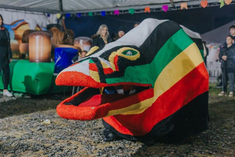 Boi de Mamão Brinca meu Boi