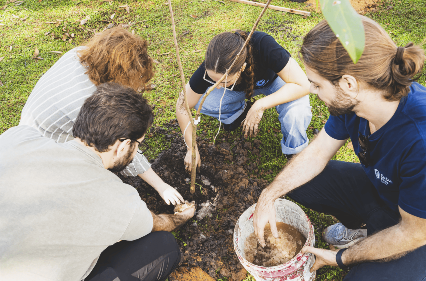 pessoas reunidas realizando o plantio de mudas nativas em Florianópolis